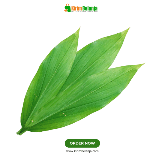 Daun Kunyit